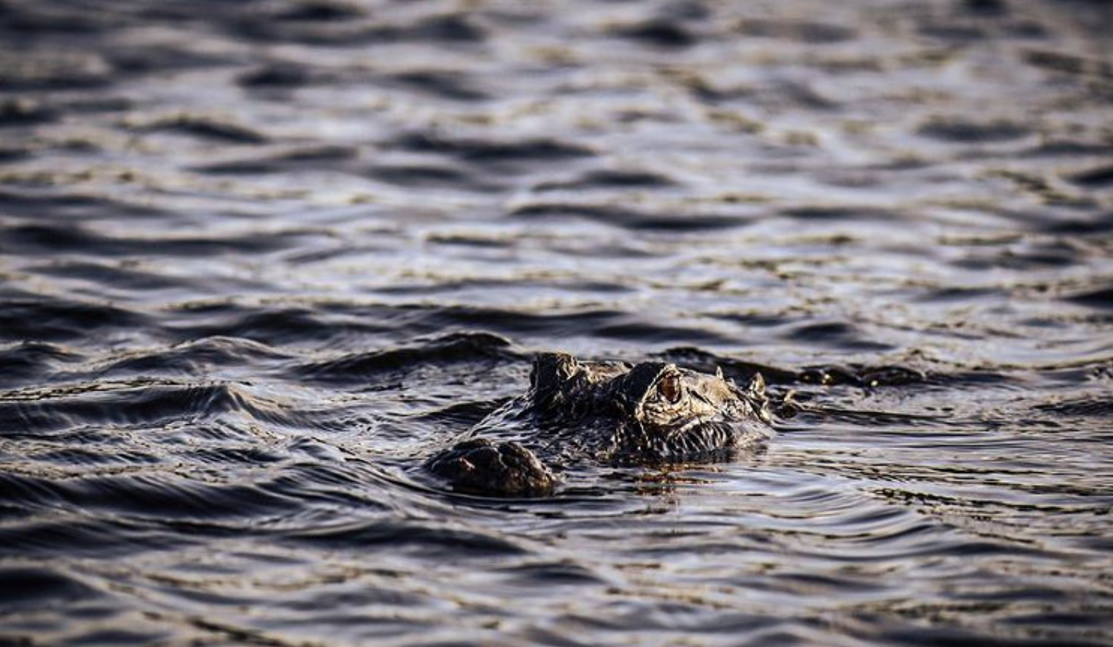 About Fairway Villas Property Owners Association, Inc. North Port